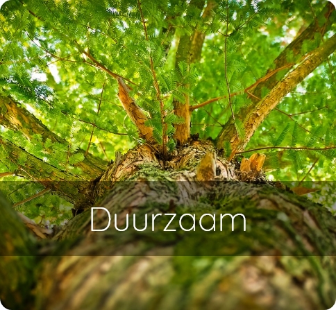 duurzaam